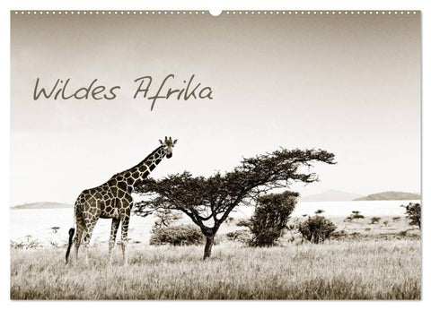 Wildes Afrika (Wandkalender 2026 DIN A2 quer), CALVENDO Monatskalender