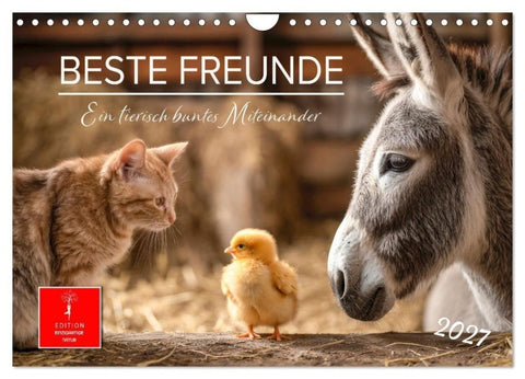 Beste Freunde - ein tierisch buntes Miteinander (Wandkalender 2027 DIN A4 quer), CALVENDO Monatskalender
