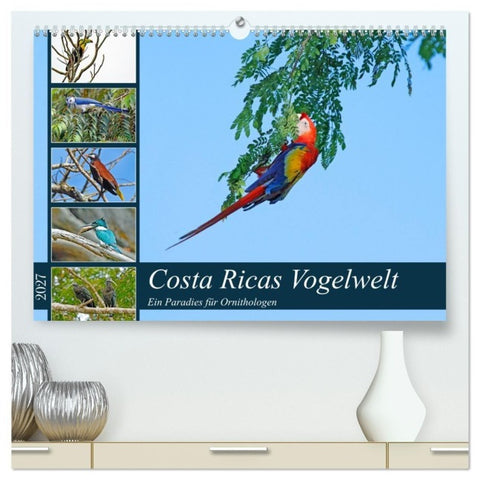 Costa Ricas Vogelwelt (hochwertiger Premium Wandkalender 2027 DIN A2 quer), Kunstdruck in Hochglanz