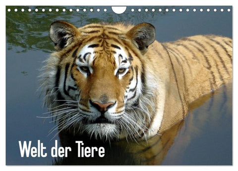 Welt der Tiere (Wandkalender 2027 DIN A4 quer), CALVENDO Monatskalender