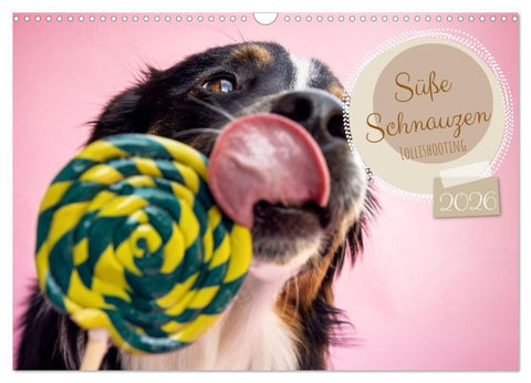 Süße Schnauzen (Wandkalender 2026 DIN A3 quer), CALVENDO Monatskalender