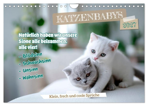 Katzenbabys - Klein, frech und coole Sprüche (Wandkalender 2027 DIN A4 quer), CALVENDO Monatskalender