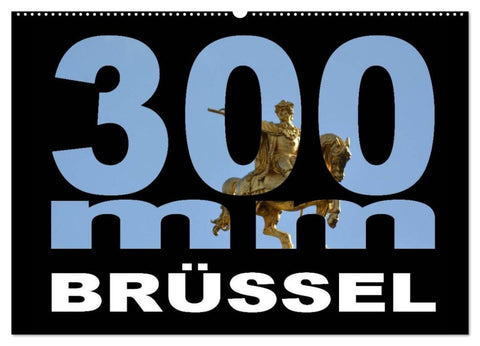 300mm - Brüssel (Wandkalender 2026 DIN A2 quer), CALVENDO Monatskalender
