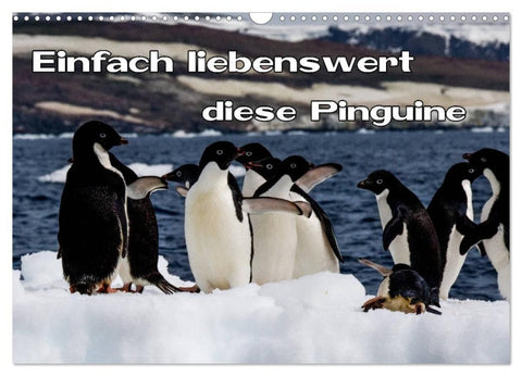 Einfach liebenswert diese Pinguine (Wandkalender 2027 DIN A3 quer), CALVENDO Monatskalender