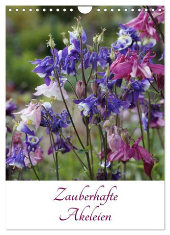 Zauberhafte Akeleien (Wandkalender 2026 DIN A4 hoch), CALVENDO Monatskalender