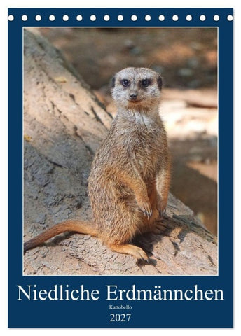 Niedliche Erdmännchen (Tischkalender 2027 DIN A5 hoch), CALVENDO Monatskalender