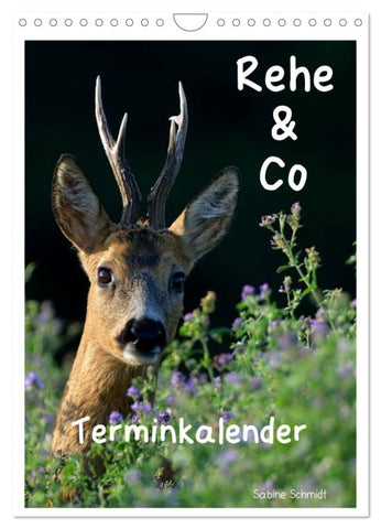Rehe & Co / Planer (Wandkalender 2026 DIN A4 hoch), CALVENDO Monatskalender
