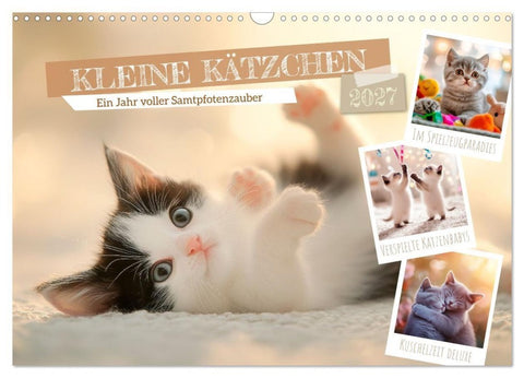 Kleine Kätzchen - Ein Jahr voller Samtpfotenzauber (Wandkalender 2027 DIN A3 quer), CALVENDO Monatskalender