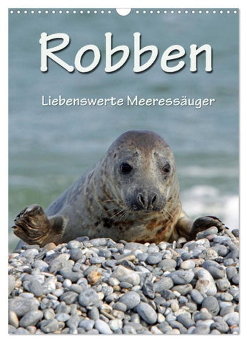 Robben (Wandkalender 2027 DIN A3 hoch), CALVENDO Monatskalender