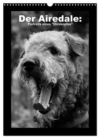Der Airedale: Portraits eines "Dickkopfes" (Wandkalender 2026 DIN A3 hoch), CALVENDO Monatskalender