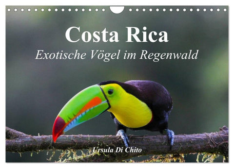 Costa Rica - Exotische Vögel im Regenwald (Wandkalender 2027 DIN A4 quer), CALVENDO Monatskalender