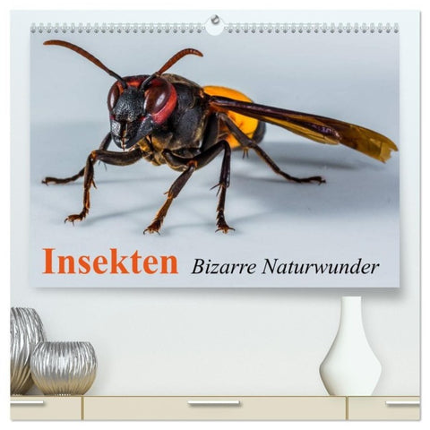Insekten ¿ Bizarre Naturwunder (hochwertiger Premium Wandkalender 2027 DIN A2 quer), Kunstdruck in Hochglanz