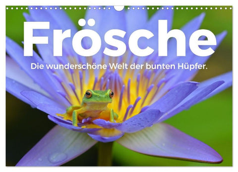Frösche - Die wunderschöne Welt der bunten Hüpfer. (Wandkalender 2027 DIN A3 quer), CALVENDO Monatskalender