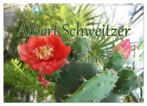 Albert Schweitzer Zitate (Wandkalender 2027 DIN A3 quer), CALVENDO Monatskalender