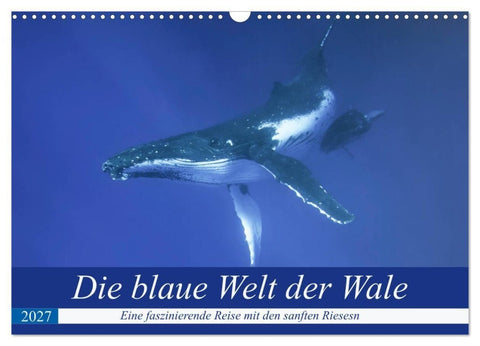Die blaue Welt der Wale (Wandkalender 2027 DIN A3 quer), CALVENDO Monatskalender