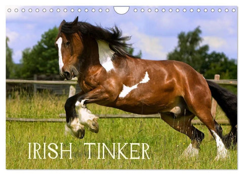 Irish Tinker (Wandkalender 2027 DIN A4 quer), CALVENDO Monatskalender