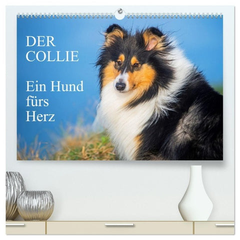 Der Collie - ein Hund fürs Herz (hochwertiger Premium Wandkalender 2027 DIN A2 quer), Kunstdruck in Hochglanz