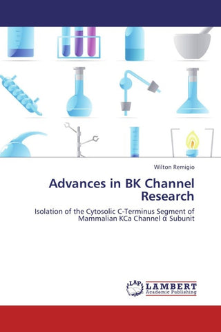 Advances in BK Channel Research
