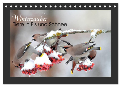 Winterzauber - Tiere in Eis und Schnee (Tischkalender 2027 DIN A5 quer), CALVENDO Monatskalender