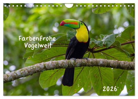 Farbenfrohe Vogelwelt (Wandkalender 2026 DIN A4 quer), CALVENDO Monatskalender