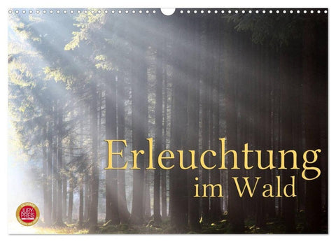 Erleuchtung im Wald (Wandkalender 2027 DIN A3 quer), CALVENDO Monatskalender