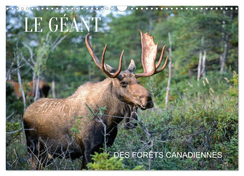 LE GÉANT DES FORÊTS CANADIENNES (Calendrier mural 2027 DIN A3 vertical), CALVENDO calendrier mensuel