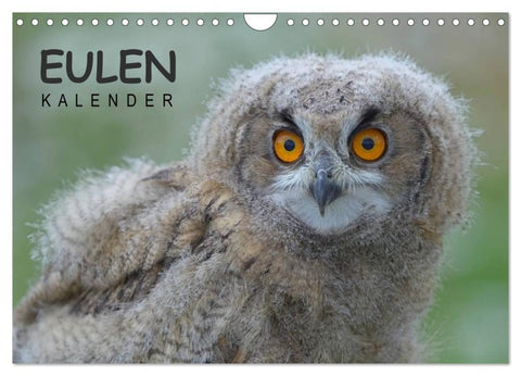 Eulen-Kalender (Wandkalender 2026 DIN A4 quer), CALVENDO Monatskalender