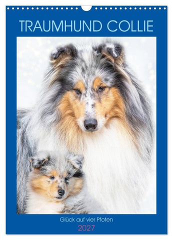 Traumhund Collie - Glück auf vier Pfoten (Wandkalender 2027 DIN A3 hoch), CALVENDO Monatskalender