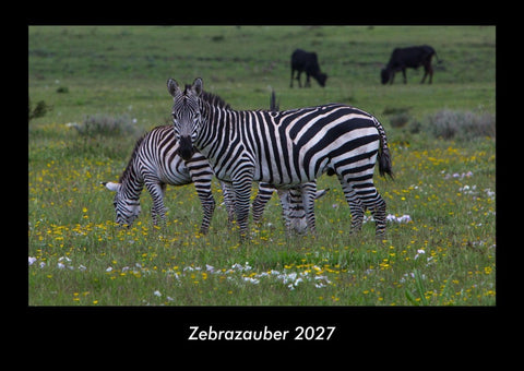 Zebrazauber 2027 Fotokalender DIN A3