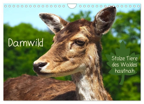 Damwild - stolze Tiere des Waldes hautnah (Wandkalender 2027 DIN A4 quer), CALVENDO Monatskalender