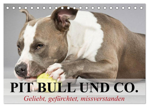 Pit Bull und Co. - Geliebt, gefürchtet, missverstanden (Tischkalender 2026 DIN A5 quer), CALVENDO Monatskalender