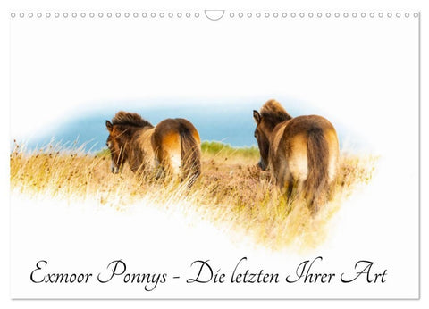 Exmoor Ponnys - Die letzten Ihrer Art (Wandkalender 2027 DIN A3 quer), CALVENDO Monatskalender