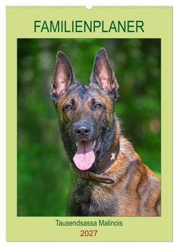 Familienplaner Tausendsassa Malinois (Wandkalender 2027 DIN A2 hoch), CALVENDO Monatskalender