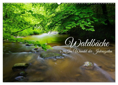 Waldbäche - Im Wandel der Jahreszeiten (Wandkalender 2027 DIN A2 quer), CALVENDO Monatskalender