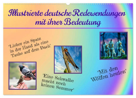 Illustrierte deutsche Redewendungen mit ihrer Bedeutung (Wandkalender 2026 DIN A2 quer), CALVENDO Monatskalender