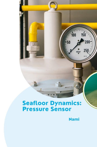 Seafloor Dynamics: Pressure Sensor