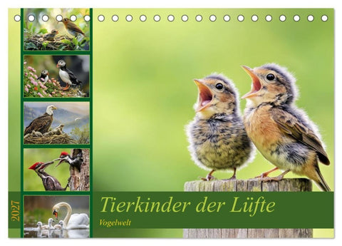 Tierkinder der Lüfte - Vogelwelt (Tischkalender 2027 DIN A5 quer), CALVENDO Monatskalender