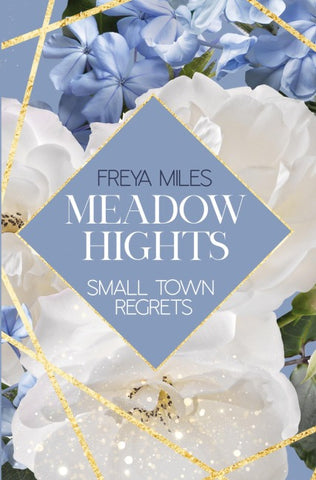 Meadow Hights: Small Town Regrets