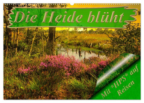 Die Heide blüht (Wandkalender 2026 DIN A2 quer), CALVENDO Monatskalender