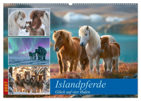 Islandpferde (Wandkalender 2027 DIN A2 quer), CALVENDO Monatskalender