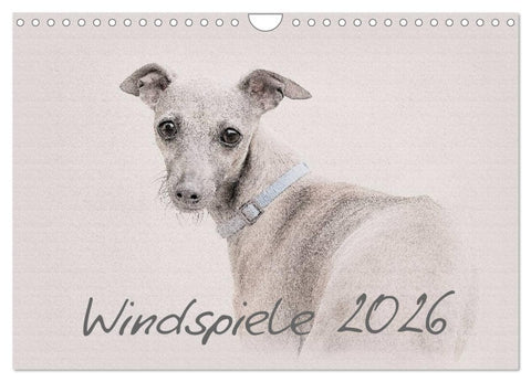 Windspiele 2026 (Wandkalender 2026 DIN A4 quer), CALVENDO Monatskalender