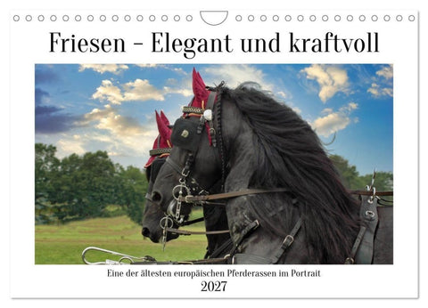 Friesen - elegant und kraftvoll (Wandkalender 2027 DIN A4 quer), CALVENDO Monatskalender