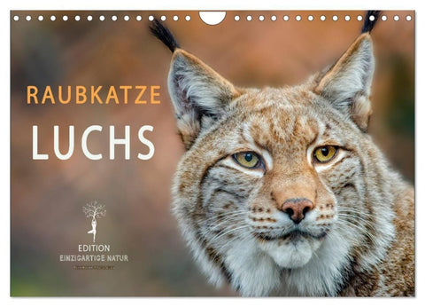 Raubkatze Luchs (Wandkalender 2027 DIN A4 quer), CALVENDO Monatskalender