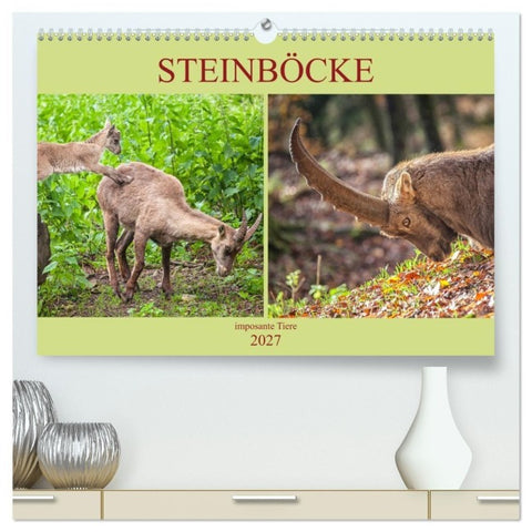 Steinböcke - imposante Tiere (hochwertiger Premium Wandkalender 2027 DIN A2 quer), Kunstdruck in Hochglanz