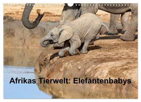 Afrikas Tierwelt: Elefantenbabys (Wandkalender 2026 DIN A3 quer), CALVENDO Monatskalender