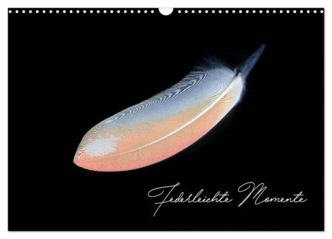 Federleichte Momente (Wandkalender 2027 DIN A3 quer), CALVENDO Monatskalender