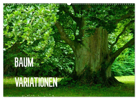 Baum-Variationen (Wandkalender 2027 DIN A2 quer), CALVENDO Monatskalender