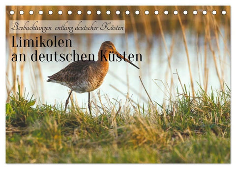 Limikolen an deutschen Küsten (Tischkalender 2027 DIN A5 quer), CALVENDO Monatskalender