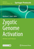 Zygotic Genome Activation