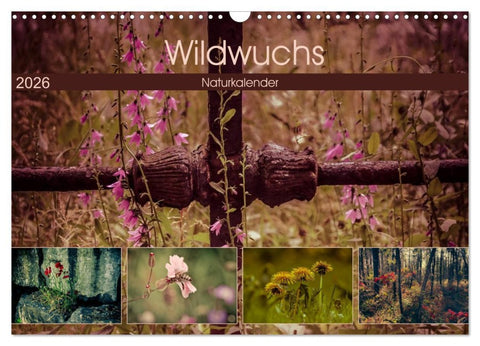 Wildwuchs 2026 (Wandkalender 2026 DIN A3 quer), CALVENDO Monatskalender